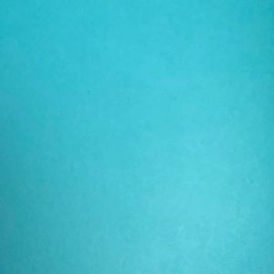 Meet your Posher, Kailey